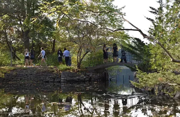 Cranbrook House and Gardens with Japanese Garden | Japanese-City.com