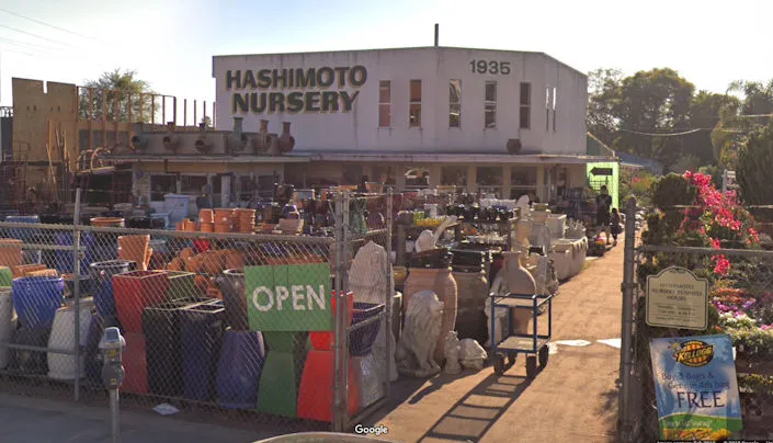 Hashimoto Nursery (Since 1928) | Japanese-City.com