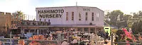 Hashimoto Nursery (Since 1928) 