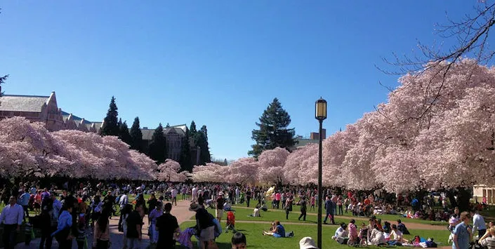 University of Washington, Seattle (Japanese Garden within the Washington Park Arboretum) | Japanese-City.com