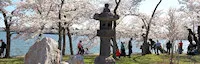 Japanese Stone Lantern, Tidal Basin in D.C. (Carved in 1651) 