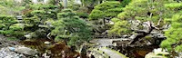 Seike Japanese Garden - Highline SeaTac Botanical Garden  