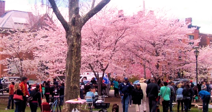 Wooster Square | Japanese-City.com