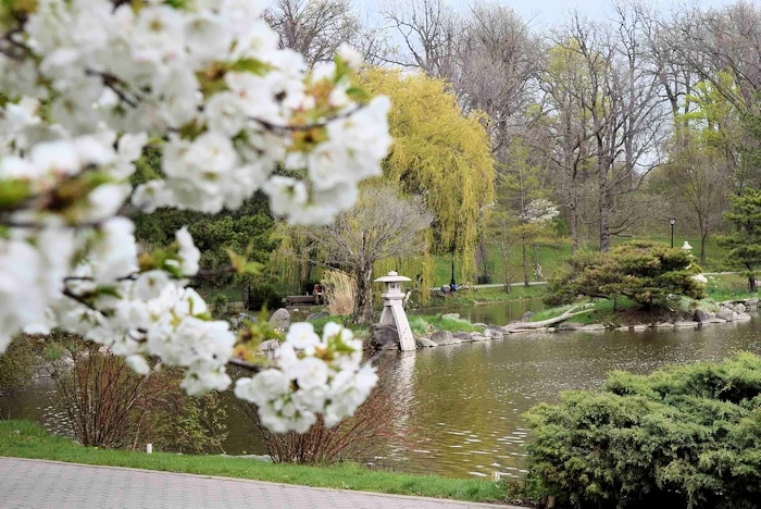 Japanese Garden, Delaware Park | Japanese-City.com