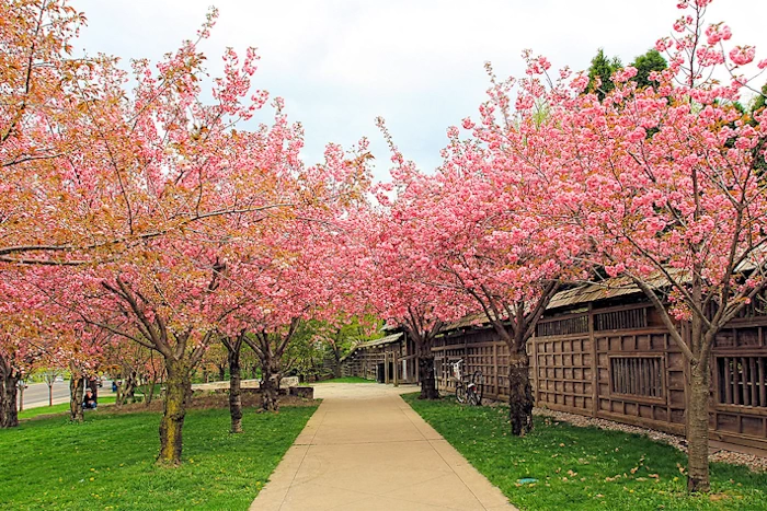 Kariya Park | Japanese-City.com