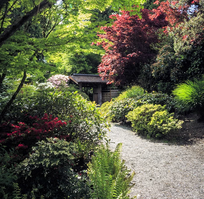 Bellevue Botanical Garden, Yao Garden | Japanese-City.com