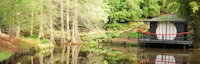 Bellingrath Gardens and Home (Japanese Garden) 