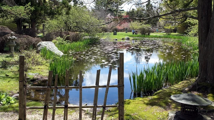 Hammond Museum and Japanese Stroll Garden | Japanese-City.com