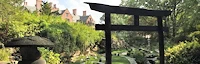 Stan Hywet Hall and Gardens (Japanese Garden) 