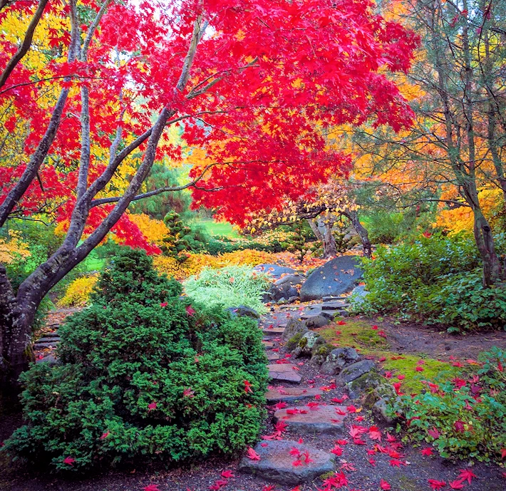 Lithia Park (Japanese Garden) | Japanese-City.com