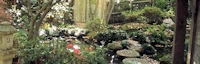 Massee Lane Gardens (Japanese Garden) 