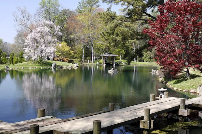 Maymont Japanese Garden | Japanese-City.com
