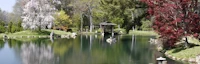 Maymont Japanese Garden 