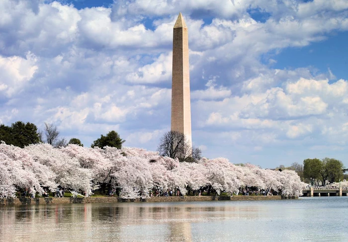 Washington Monument | Japanese-City.com