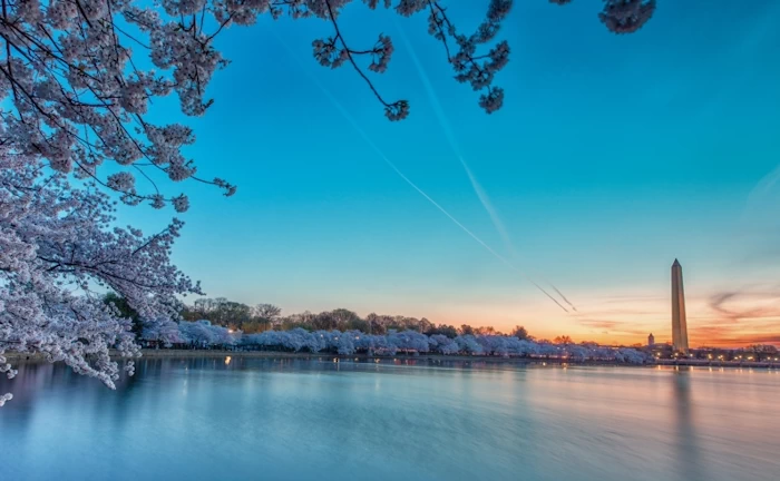 Tidal Basin, Washington DC | Japanese-City.com