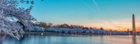 Tidal Basin, Washington DC 