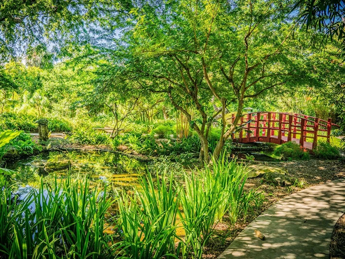 Miami Beach Botanical Garden | Japanese-City.com