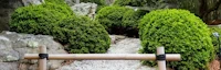 Norfolk Botanical Garden - Japanese Garden 