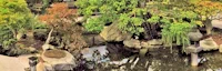 Japanese Courtyard Garden, Phipps Conservatory and Botanical Gardens 