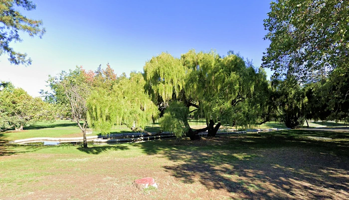 Juilliard Park | Japanese-City.com