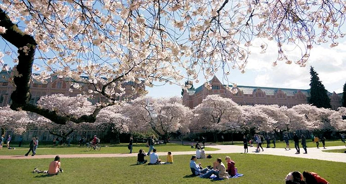 University of Washington, Seattle (The Quad) | Japanese-City.com