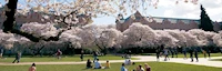 University of Washington, Seattle (The Quad)