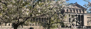 Japanese events venues location festivals Jackson Park - Cherry Blossom Celebration (Hanami Sakura)