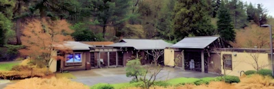 Seattle Japanese Garden 