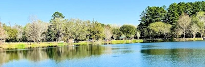 Japanese events venues location festivals Tom Brown Park