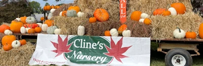 Japanese events venues location festivals Cline's Nursery