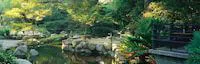 Experience a Walk in a Beautiful Japanese-Style Garden and Japanese Tea House