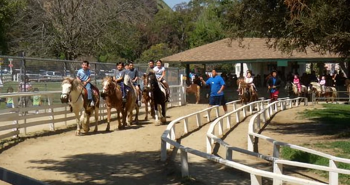 Griffith Park - Pony Rides and Petting Zoo | Japanese-City.com