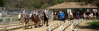 Griffith Park - Pony Rides and Petting Zoo 