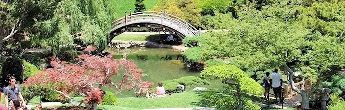 Japanese Garden at Huntington (Moon Bridge, Koi-filled Ponds & the Historic Japanese House Since 1928)