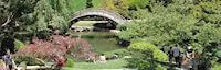 Japanese events festivals Stroll Through a Japanese Garden - Huntington Library (FYI: Garden Closed for Renovations)