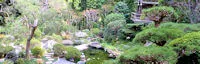 Hannah Carter Japanese Garden (Shikyo-en) Privately Owned (Closed to Public) 