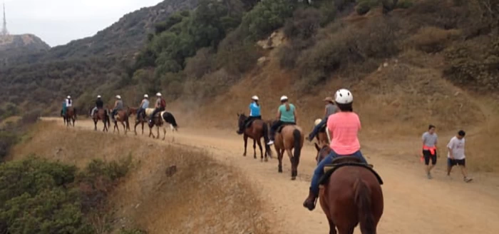 Sunset Ranch Hollywood Stables | Japanese-City.com